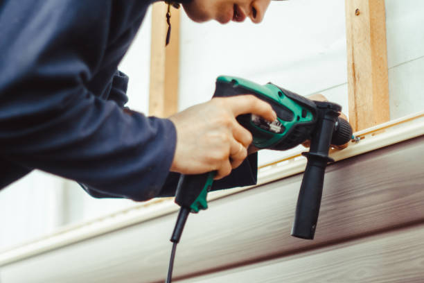 Best Custom Trim and Detailing for Siding  in Treasure Island, FL